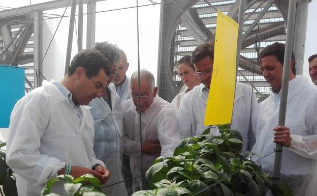 El presidente del PP-A, junto al alcalde ejidense, el presidente provincial y parlamentarios.