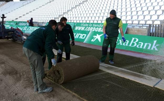 El Arcángel se pone guapo para recibir al Granada CF
