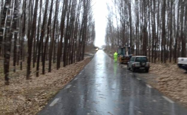 La carretera entre Benalúa y Fonelas, ya limpia.