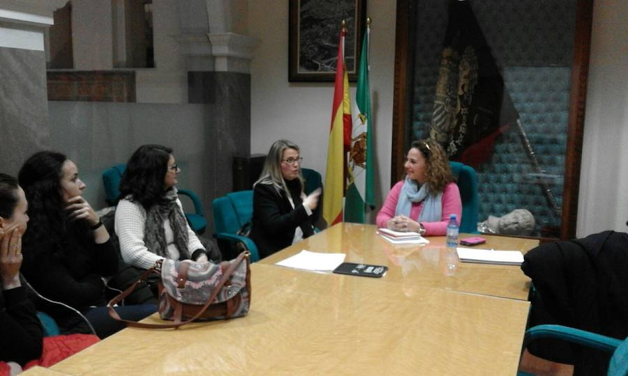 Un momento de la reunión en el salón de comisiones del Ayuntamiento de Guadix. /IDEAL GUADIX