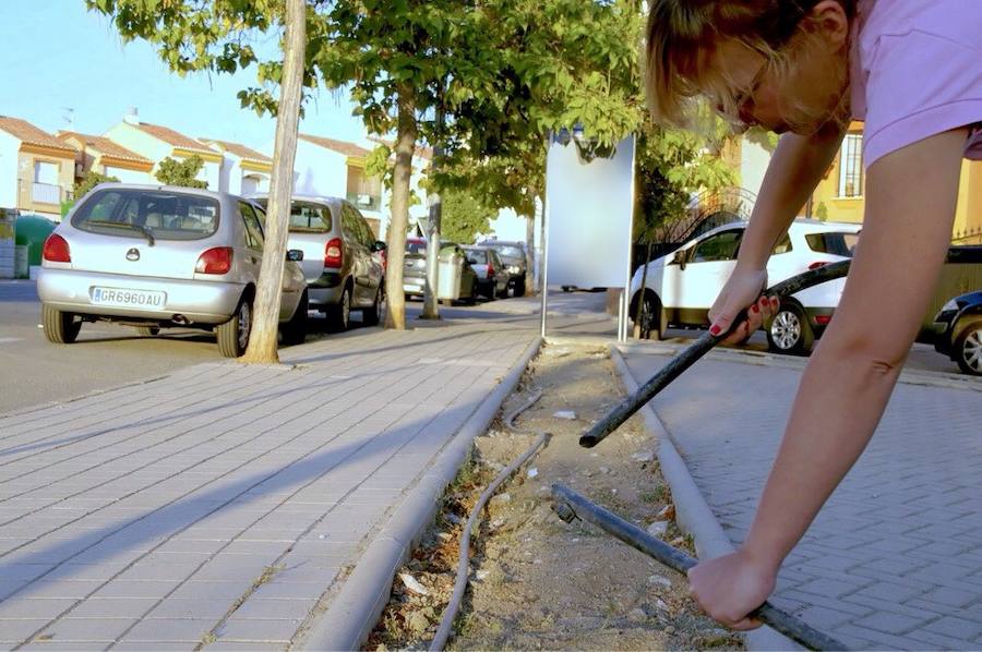 Tubos de riego por goteo, cortados a navaja en los jardines de Las Viñas.