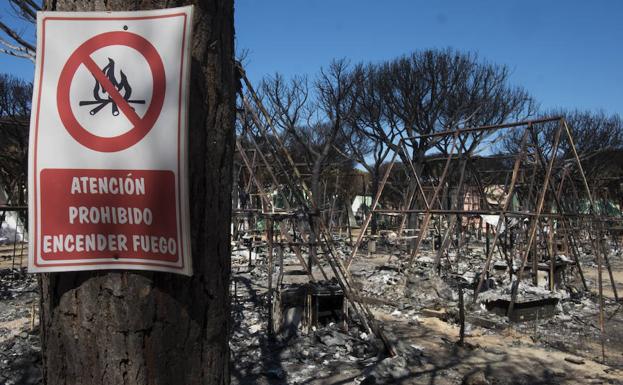 Camping de Doñana, tras el incendio declarado en el paraje La Peñuela de Moguer. /Julián Pérez / EFE