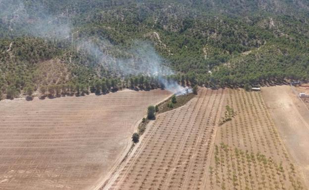 Extinguido el incendio forestal en un paraje de Padul