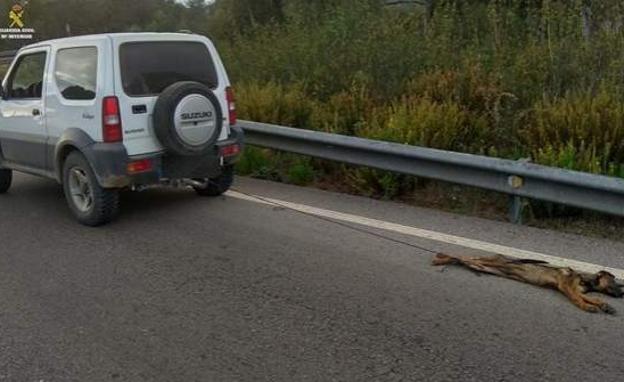 El conductor del vehículo ha sido puesto a disposición judicial en calidad de investigado acusado de un delito de maltrato animal./(GUARDIA CIVIL)