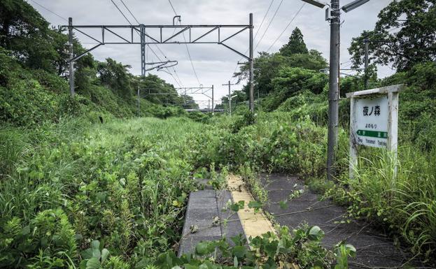 La naturaleza se abre paso en Futaba./Carlos Ayesta