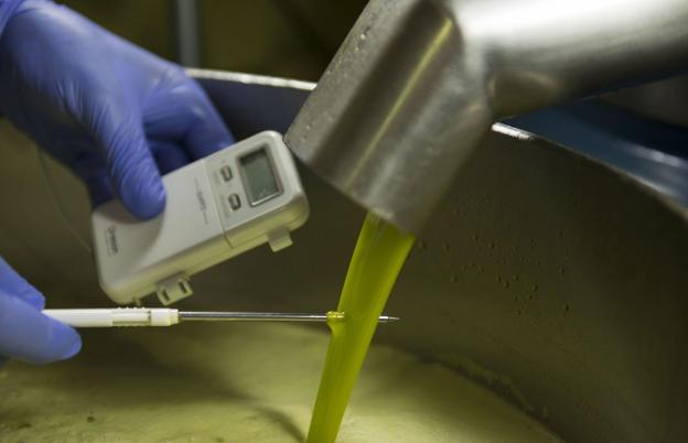 Extracción de aceite en una almazara de la provincia de Jaén./EFE