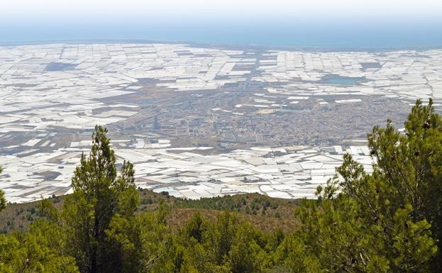 El precio de la tierra agrícola baja en Almería, pero sigue siendo la provincia donde más cuesta