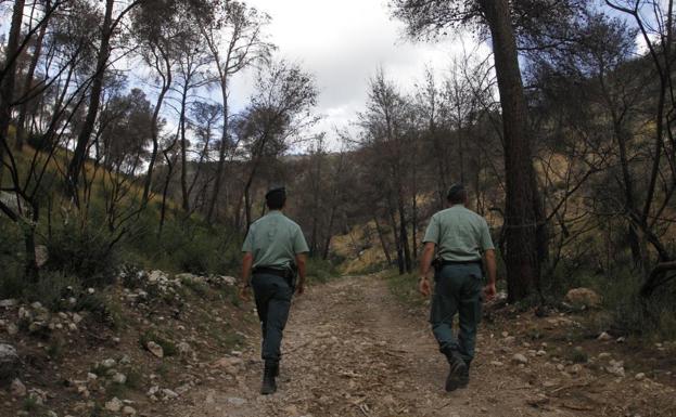 Agentes del Seprona en Mallorca./