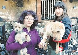 El perro Simba, a la derecha, junto a su compañero de casa, el pequeño Nala, en manos de sus dueñas. :: ALFREDO AGUILAR/