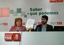 Rueda de prensa del PSOE, hoy./