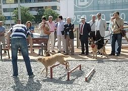 Los perros ya pueden jugar a sus anchas.: IDEAL/