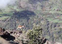 Naturaleza en un 'click'