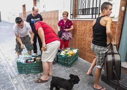Los afectados, a quien nadie recogió, iban a trabajar recogiendo frutas en invernaderos. :: A. AGUILAR/