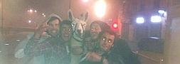 Cinco franceses borrachos roban una llama de un circo, la pasean y lo graban