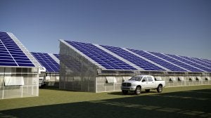 Los invernaderos del futuro serán auténticos campos solares. :: CIA/