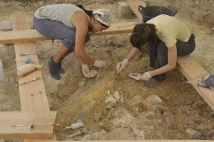 Dos miembros del equipo de investigación limpian una defensa de mamut en Fuente Nueva 3, en las excavaciones del verano pasado. :: JOSÉ UTRERA/