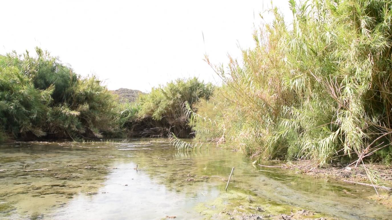 Adra dedica un documental al río que lleva su nombre Adra Ideal