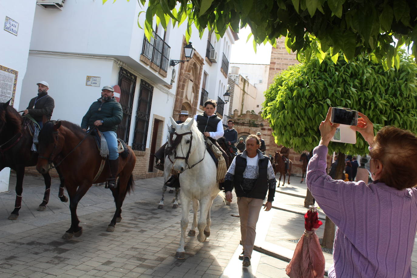 Paseillo de mulos y caballos por la Plaza de Santa María en la mañana del sábado de romería /JOSÉ CARLOS GONZÁLEZ