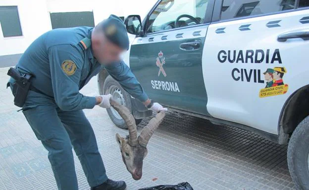 Descubiertos cazando de forma ilegal una cabra montés en la Puebla de Don Fadrique