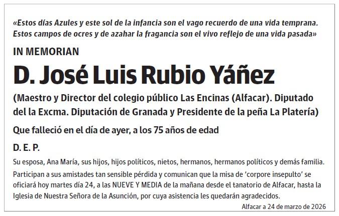 D. José Luis Rubio Yáñez