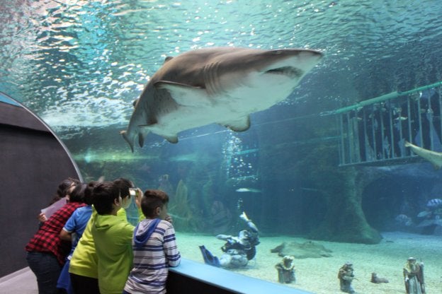 Senator Hotels compra la mayor parte de la propiedad del Aquarium de ...