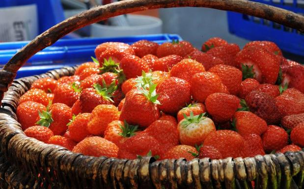 Dieta con fresas para adelgazar Dieta con fresas para adelgazar