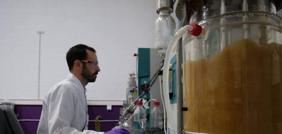 Llega la 'fermentación inteligente' - Vimarsana News