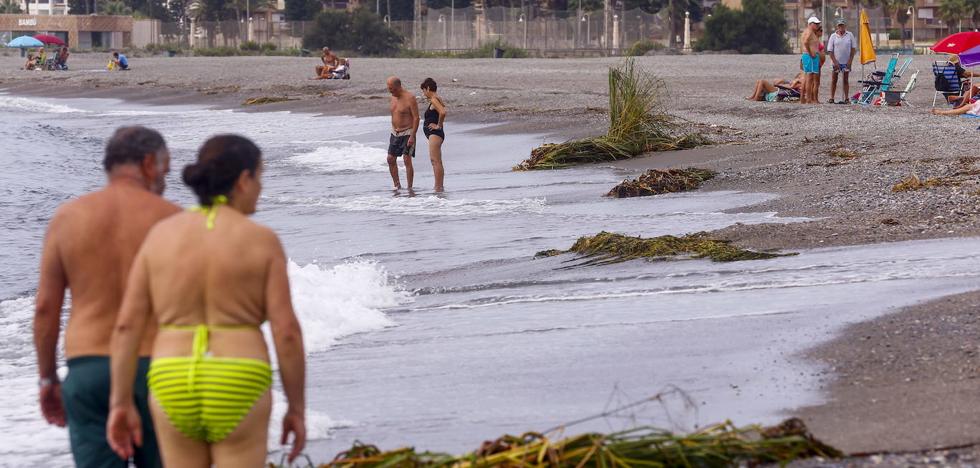 La Costa recibe dos banderas negras por vertidos sin que consten denuncias - Vimarsana News