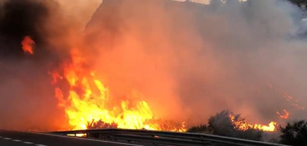 Sucesos En Granada Extinguido Un Incendio Junto A La Carretera Cerca Del Tunel Que Une Torrenueva Y Carchuna Ideal