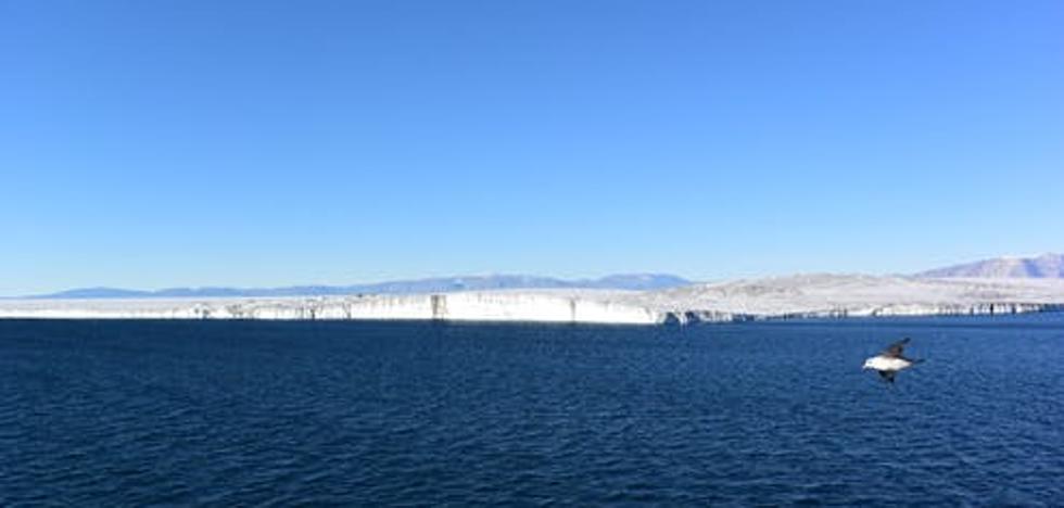 ¿Podría el deshielo de los glaciares ayudarnos a mitigar el cambio climático? - Vimarsana News