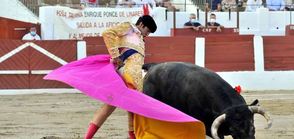 Adrián de Torres borda el toreo, cortatres orejas y termina en la enfermería - Vimarsana News