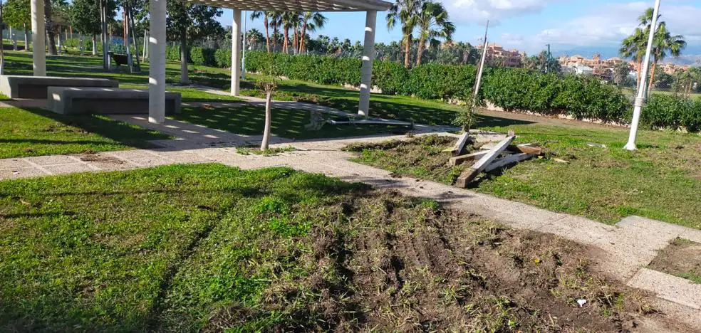 Una manada de jabalíes destroza el parque Severiano Ballesteros de Playa Granada