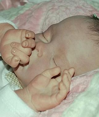 bebes reborn para adultos