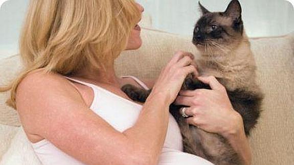 se puede contagiar la toxoplasmosis de persona a persona