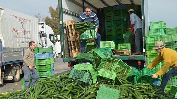 Resultado de imagen de agricultores tiran producto