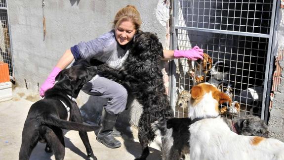 La Protectora De Animales Arconatura Se Ve Desbordada En Los Meses De Verano Ideal