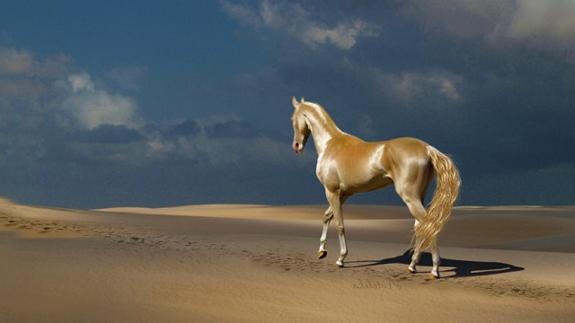 El Caballo Venido Del Cielo Es El Mas Bonito Mundo Apenas Quedan 1 000 Ejemplares Ideal