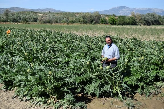 Una revolución para sobrevivir en el campo | Ideal El 'top 5' de los sistemas antiheladas | La Verdad